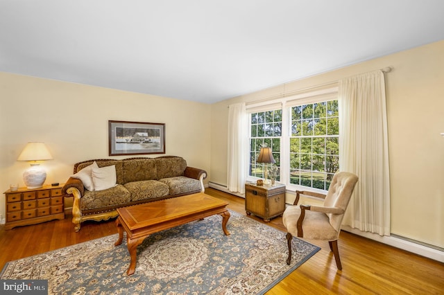 living room featuring hardwood / wood-style flooring