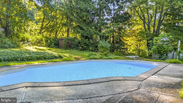 view of swimming pool featuring a diving board and a patio