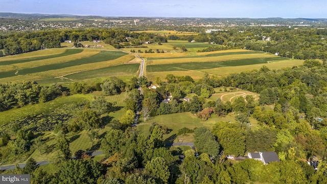 bird's eye view