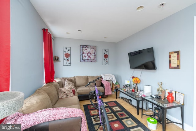 living room featuring light hardwood / wood-style flooring