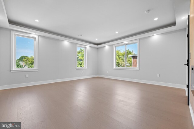 empty room featuring light wood-type flooring and a tray ceiling