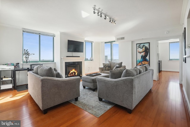 living room featuring track lighting, hardwood / wood-style floors, and a wealth of natural light