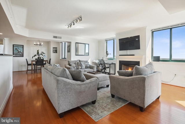 living room with a wealth of natural light, rail lighting, and hardwood / wood-style floors