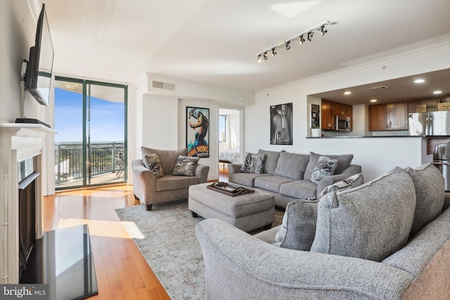 living room featuring a premium fireplace and light hardwood / wood-style flooring