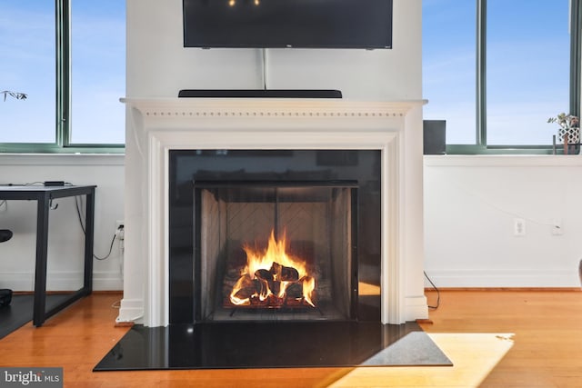 room details featuring hardwood / wood-style flooring