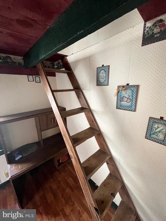 stairs with hardwood / wood-style flooring