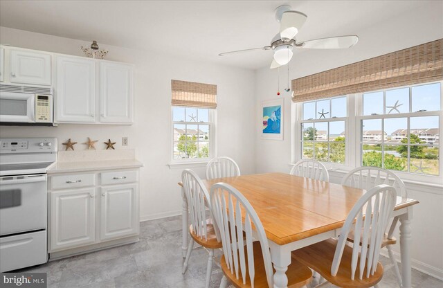 dining room featuring a healthy amount of sunlight and ceiling fan