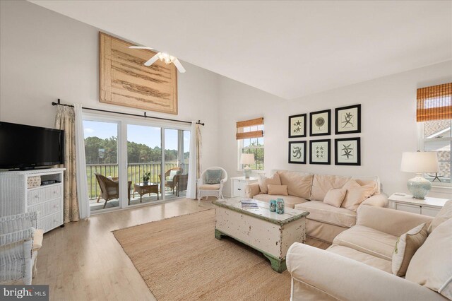 living room with ceiling fan and hardwood / wood-style floors