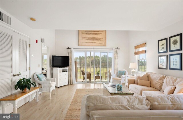 living room featuring light hardwood / wood-style flooring