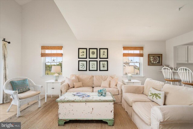 living room featuring vaulted ceiling and light hardwood / wood-style flooring