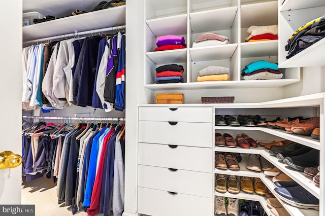 walk in closet featuring carpet