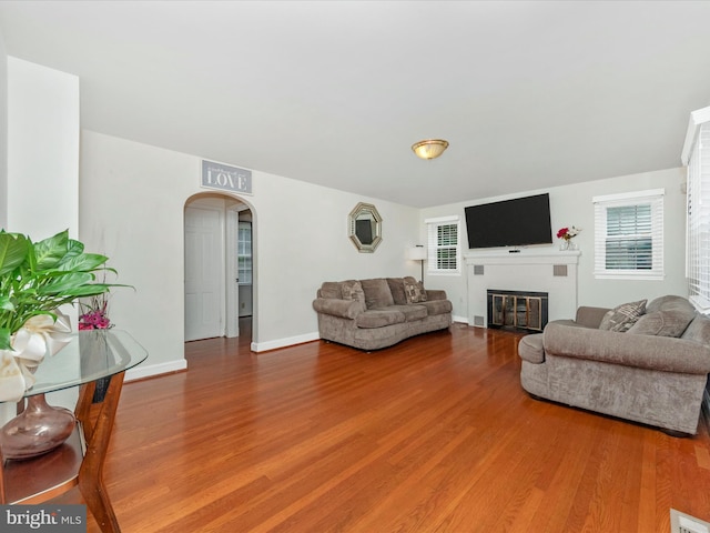 living room featuring wood-type flooring