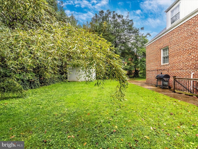 view of yard featuring a shed