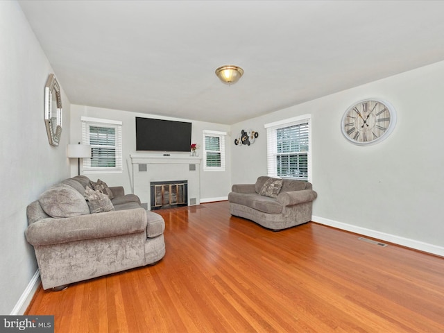 living room featuring a healthy amount of sunlight and hardwood / wood-style floors