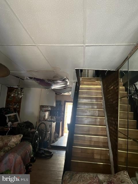 staircase with hardwood / wood-style flooring