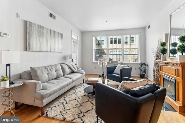 living room featuring wood-type flooring