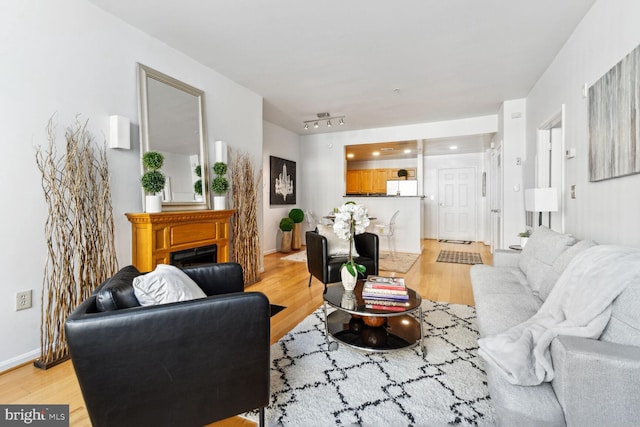 living room featuring light hardwood / wood-style floors