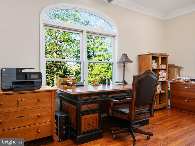 office space featuring ornamental molding and light hardwood / wood-style floors