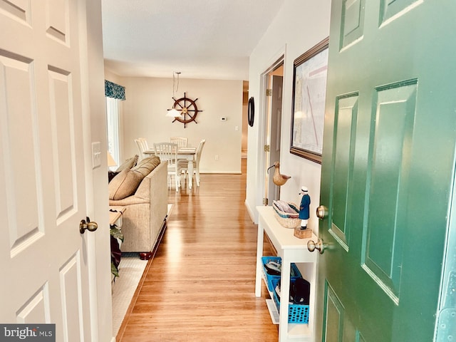 interior space featuring light hardwood / wood-style flooring