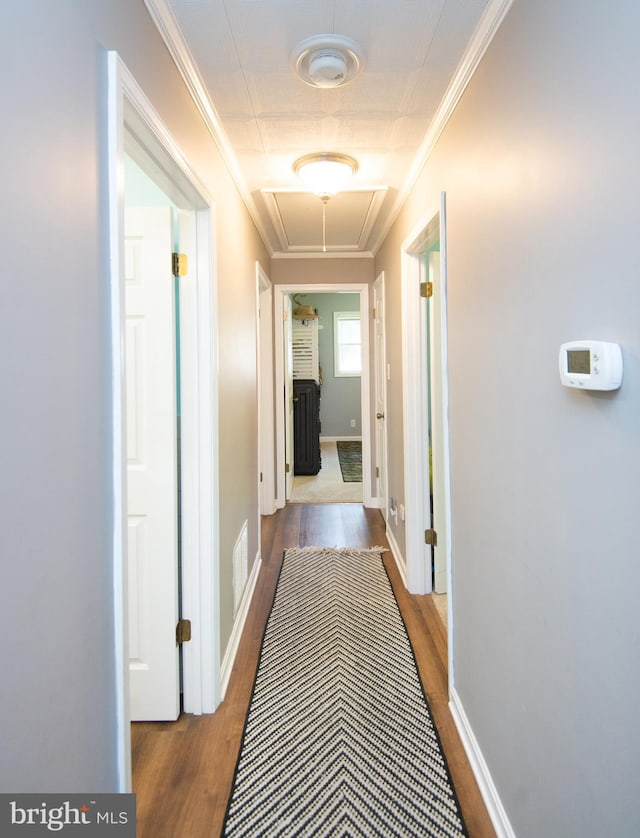 corridor with ornamental molding and hardwood / wood-style flooring