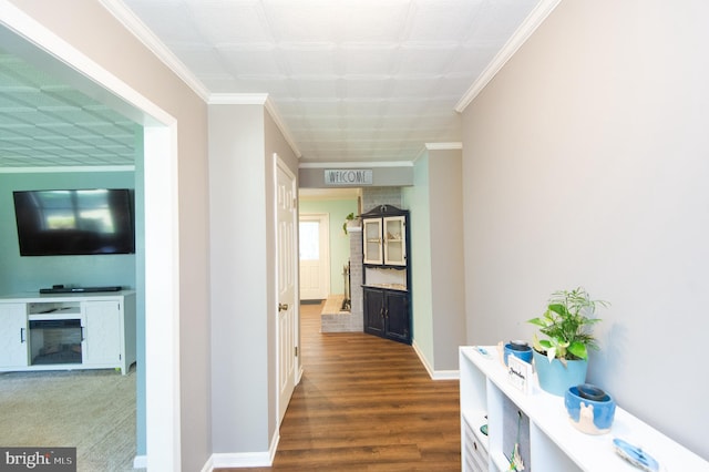 hall featuring crown molding and dark hardwood / wood-style floors