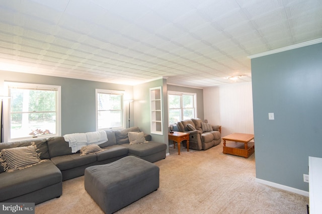 carpeted living room featuring crown molding