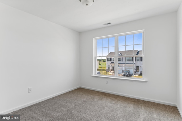 spare room featuring carpet floors