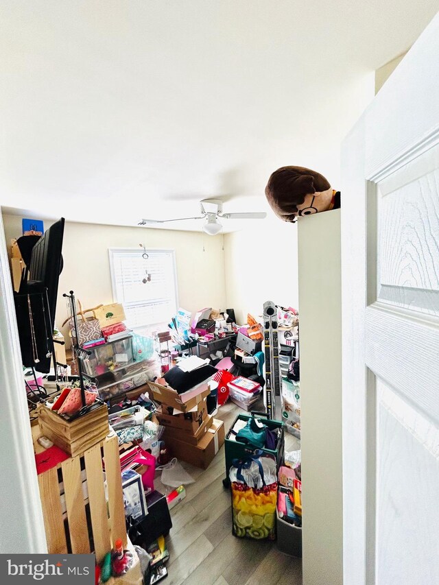 miscellaneous room with hardwood / wood-style flooring and ceiling fan