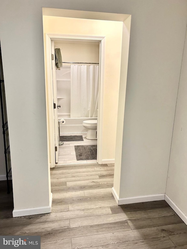 corridor featuring hardwood / wood-style flooring