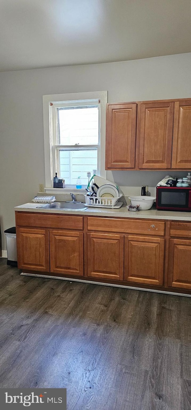 kitchen featuring sink and dark hardwood / wood-style floors