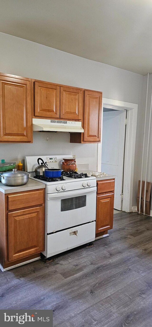 kitchen with white gas range and dark hardwood / wood-style flooring