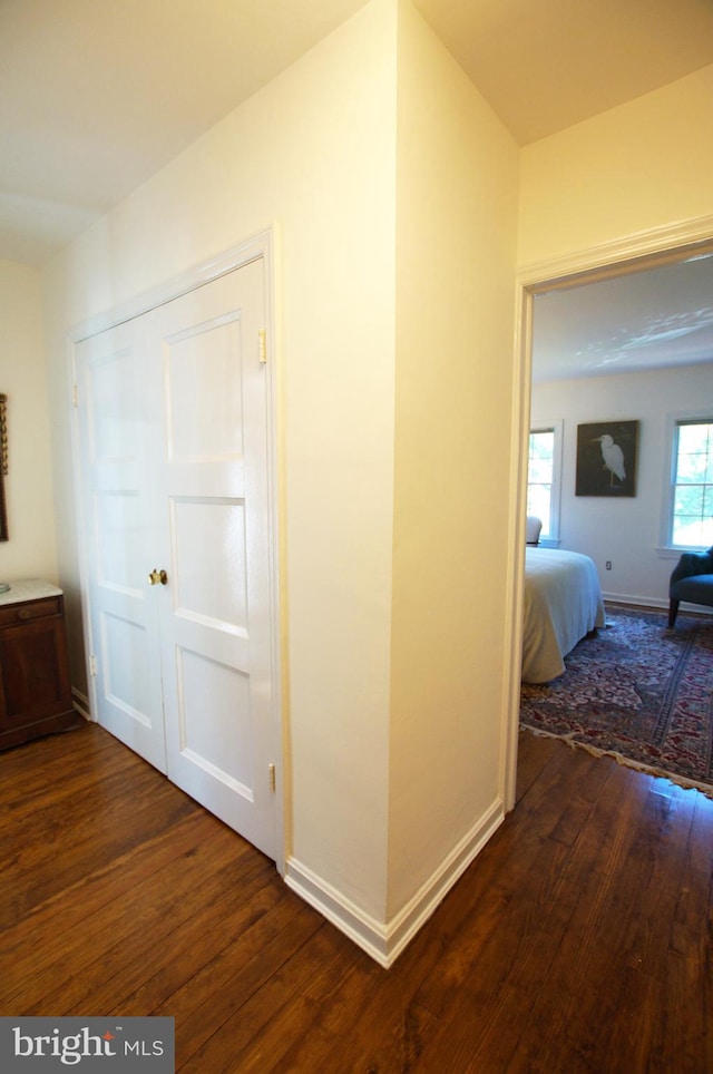 hall featuring dark hardwood / wood-style floors