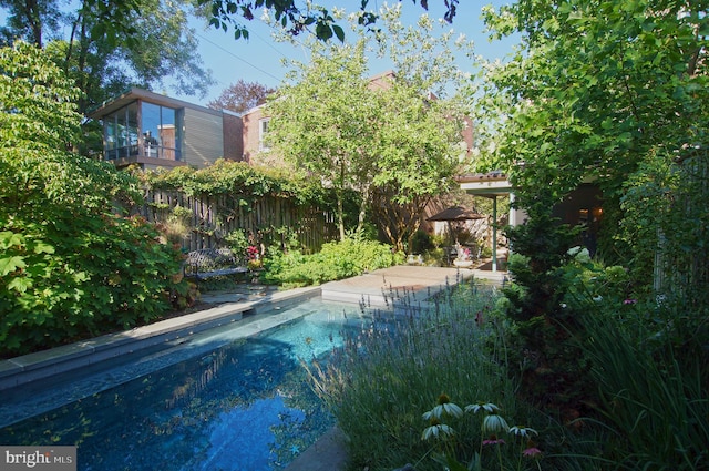 view of swimming pool featuring a patio