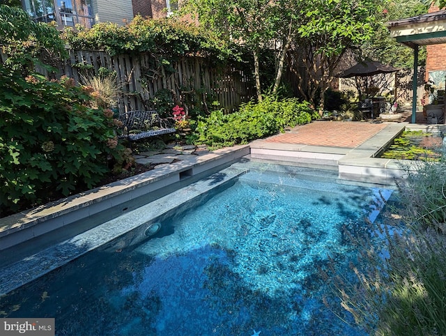 view of pool with a patio