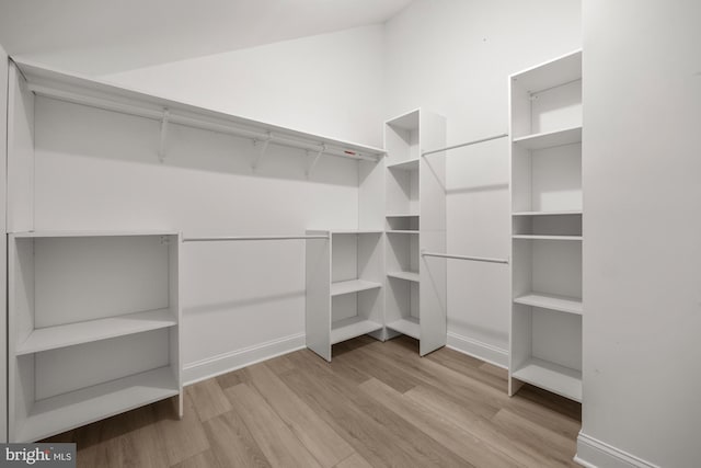 walk in closet featuring light wood-style flooring