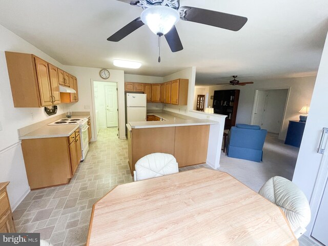 dining room featuring ceiling fan and a wealth of natural light