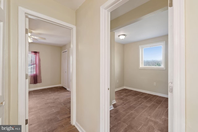 hall featuring dark wood-type flooring