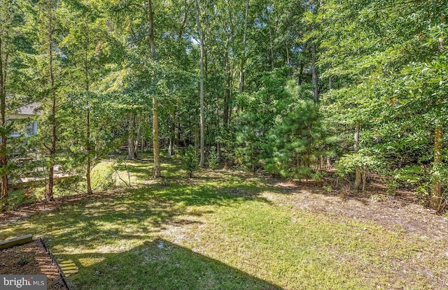 view of yard featuring a wooded view