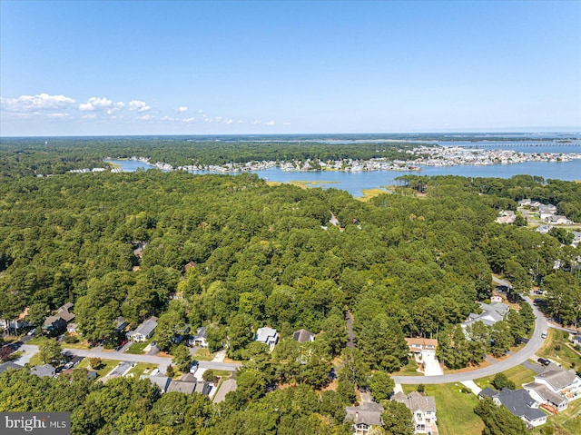 bird's eye view with a wooded view and a water view