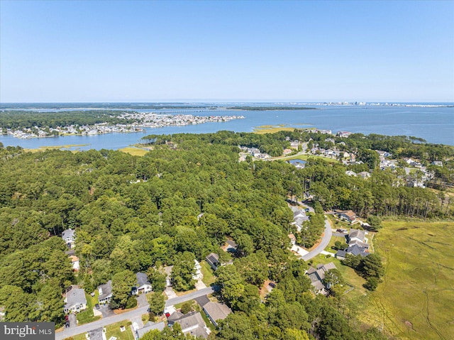 birds eye view of property featuring a view of trees and a water view