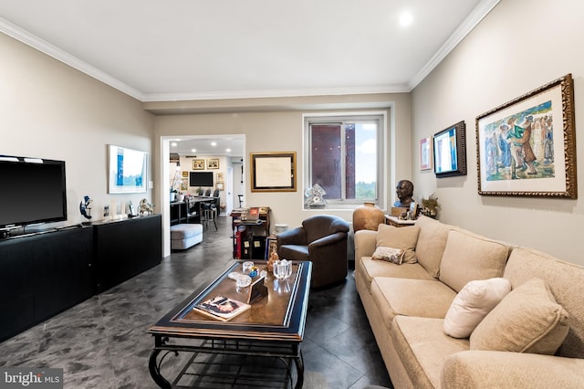 living area with ornamental molding