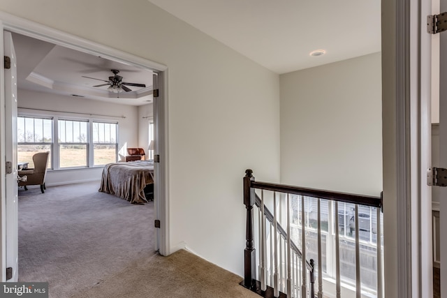 hallway featuring carpet flooring and a raised ceiling