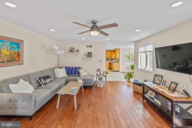 living room with light wood-type flooring and ceiling fan