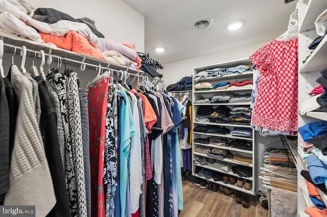 spacious closet with wood-type flooring