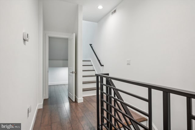 hall featuring dark wood-type flooring