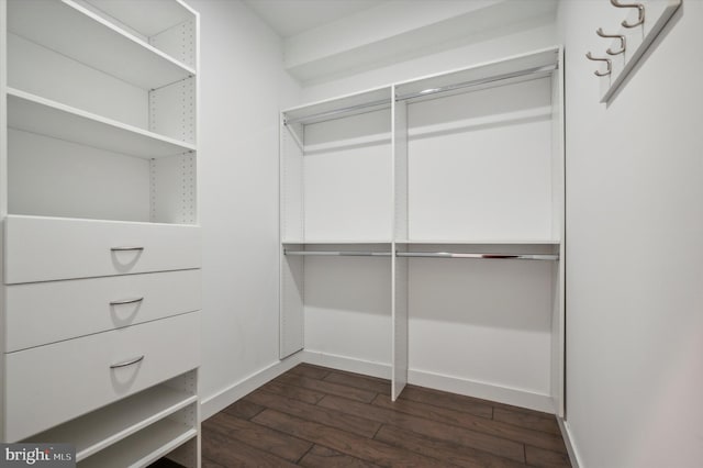 spacious closet featuring dark hardwood / wood-style floors