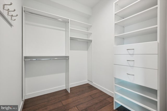 spacious closet with dark wood-type flooring