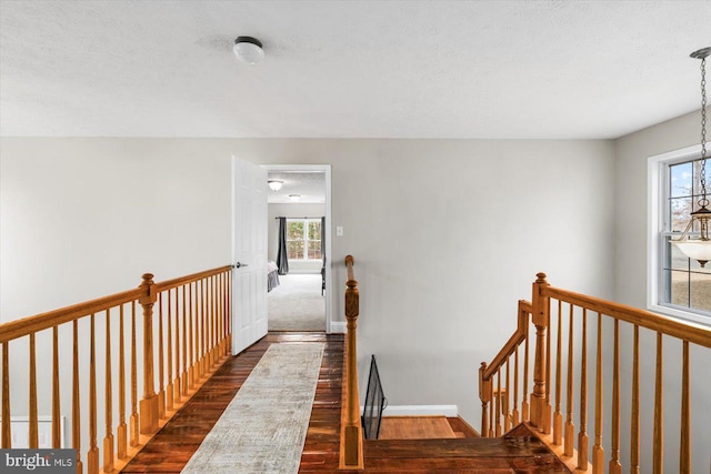 6330 Kleineidam Way, Spotsylvania, VA 22551 - hallway with a textured ceiling, an upstairs landing, plenty of natural light, and wood finished floors