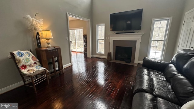 6330 Kleineidam Way, Spotsylvania, VA 22551 - living room with baseboards, a fireplace with flush hearth, and hardwood / wood-style flooring