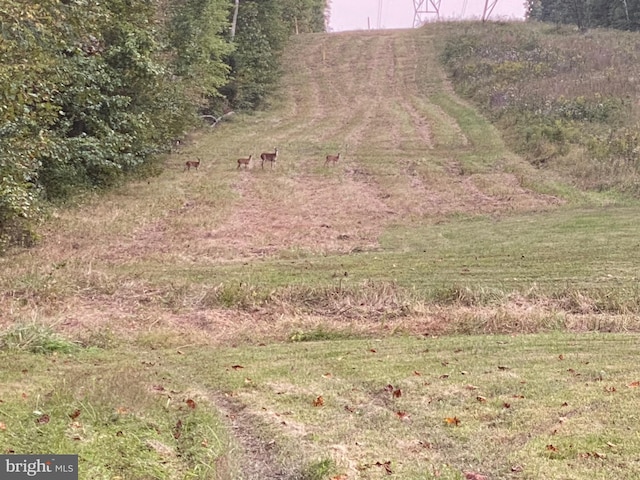6330 Kleineidam Way, Spotsylvania, VA 22551 - view of nature